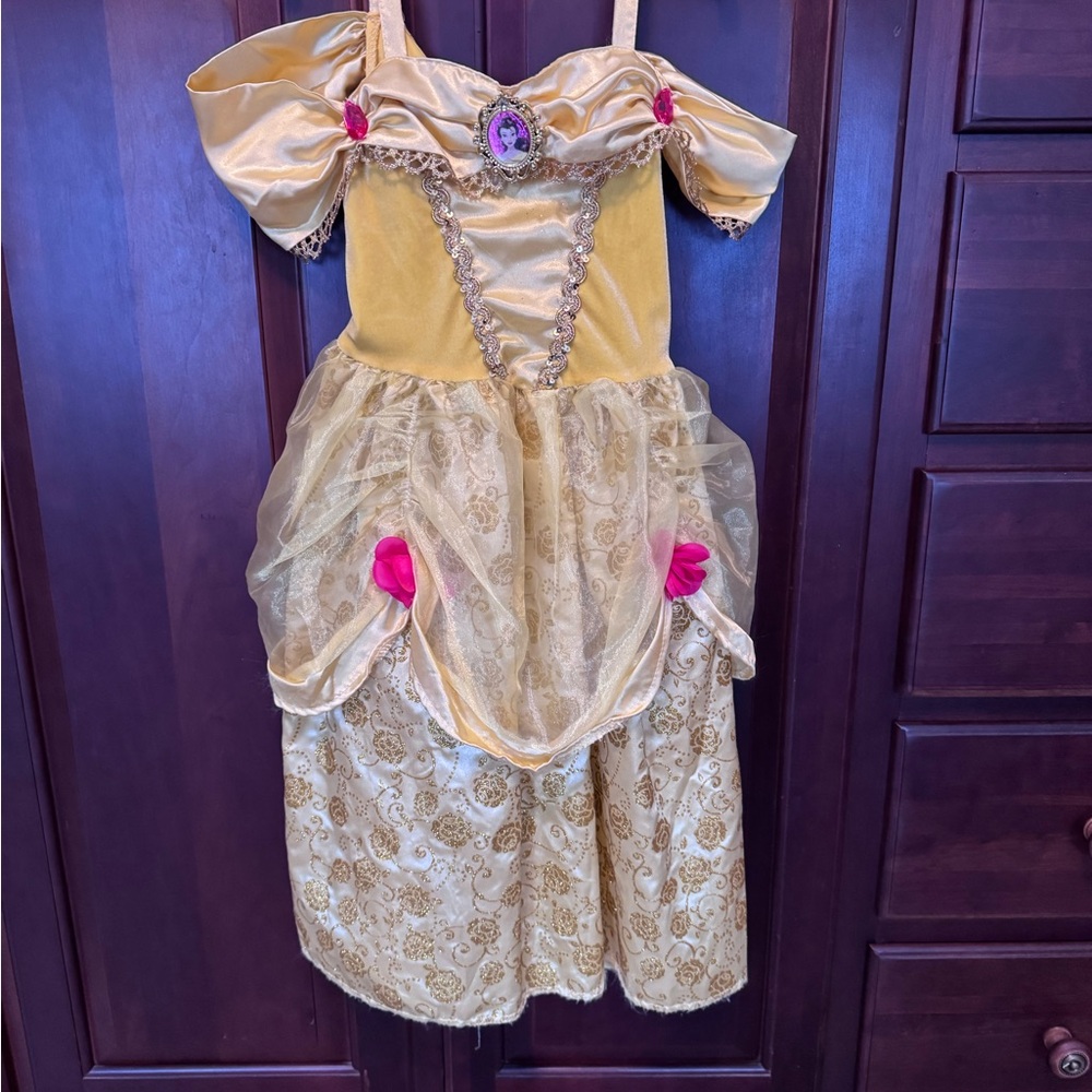 Disney Gold and Pink Princess Costume